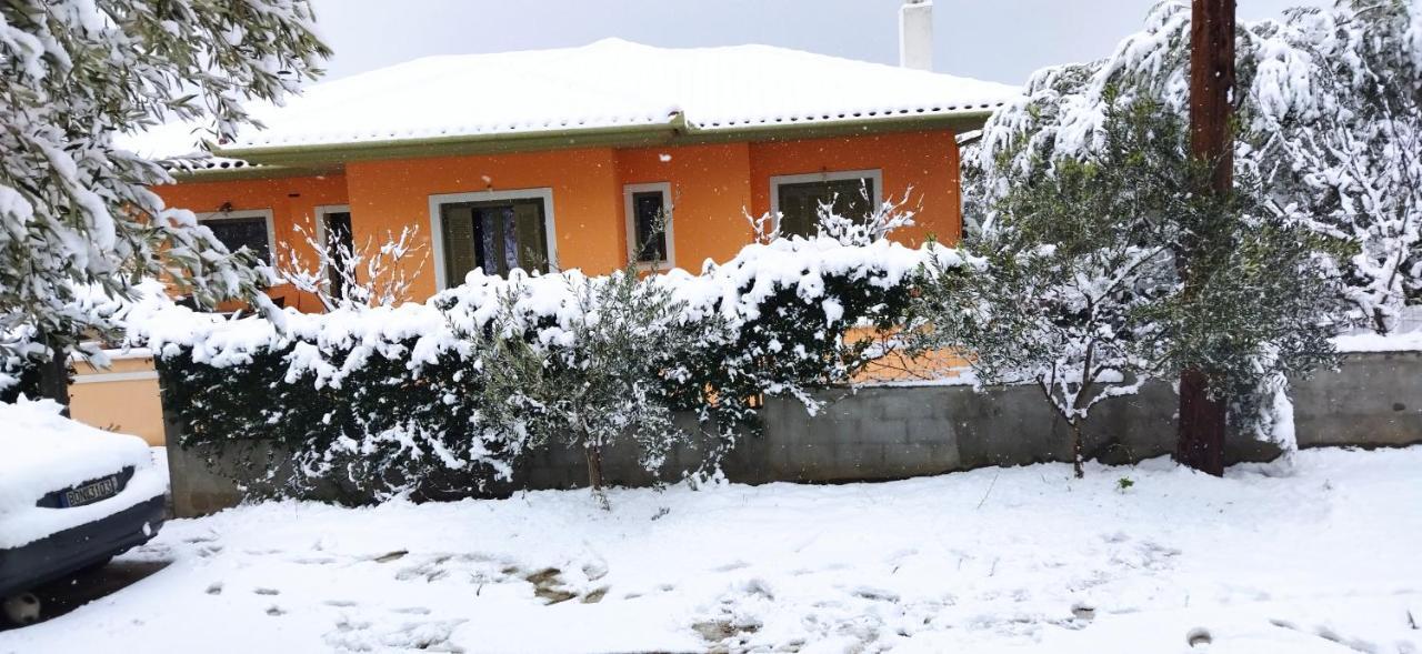 Villa View House à Agria Extérieur photo