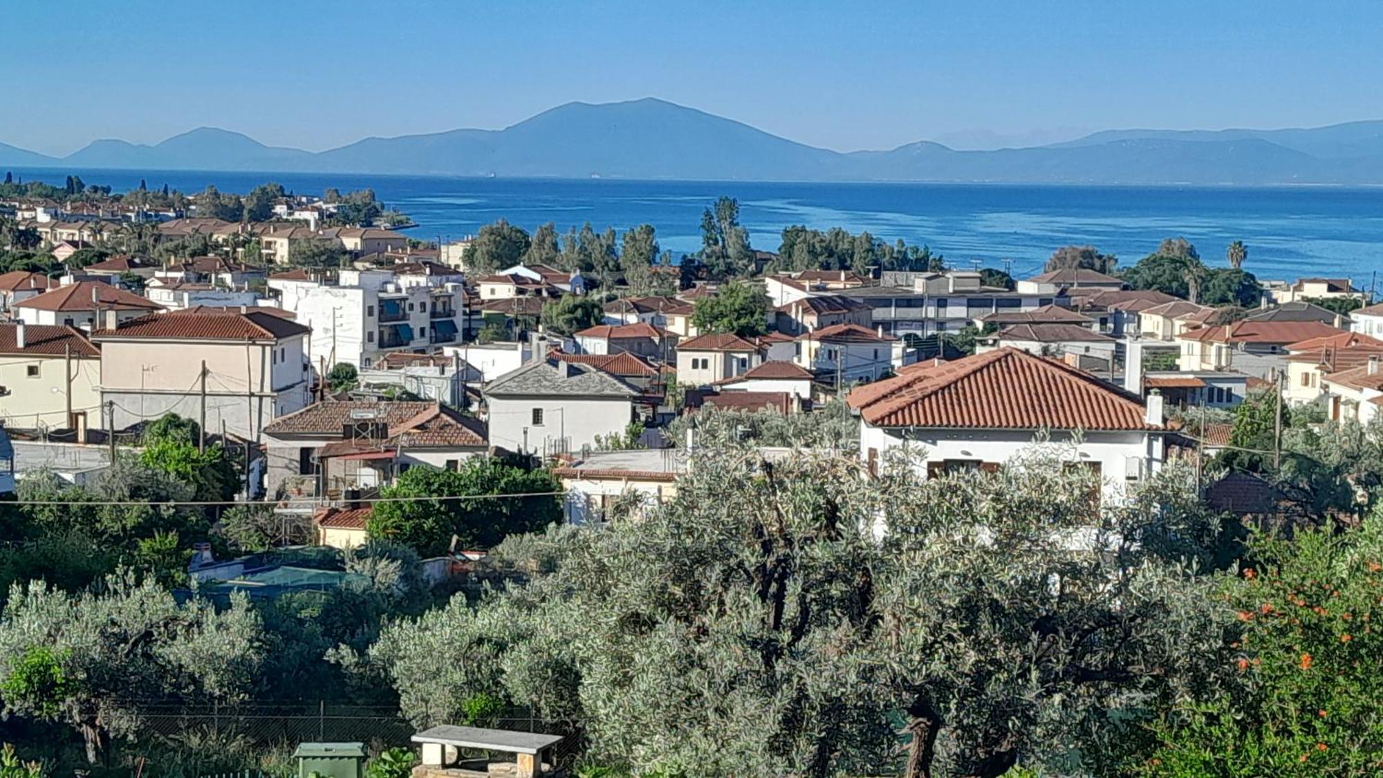 Villa View House à Agria Extérieur photo